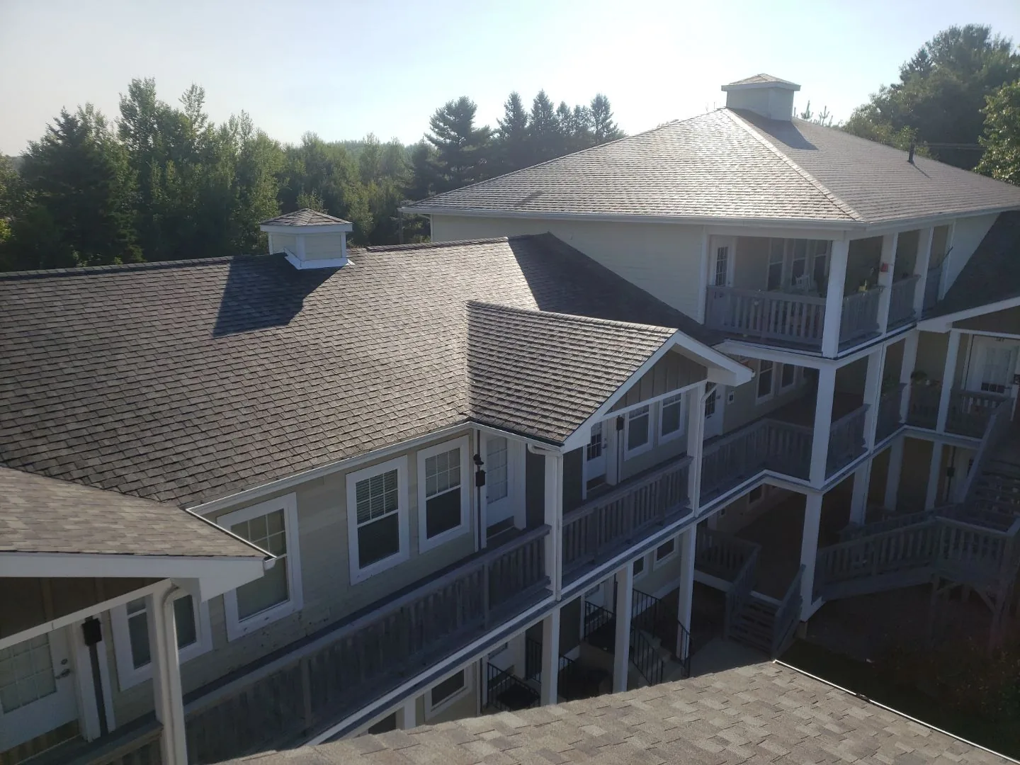 Finished shingle roofscape across a multi-building apartment complex in Fredericton