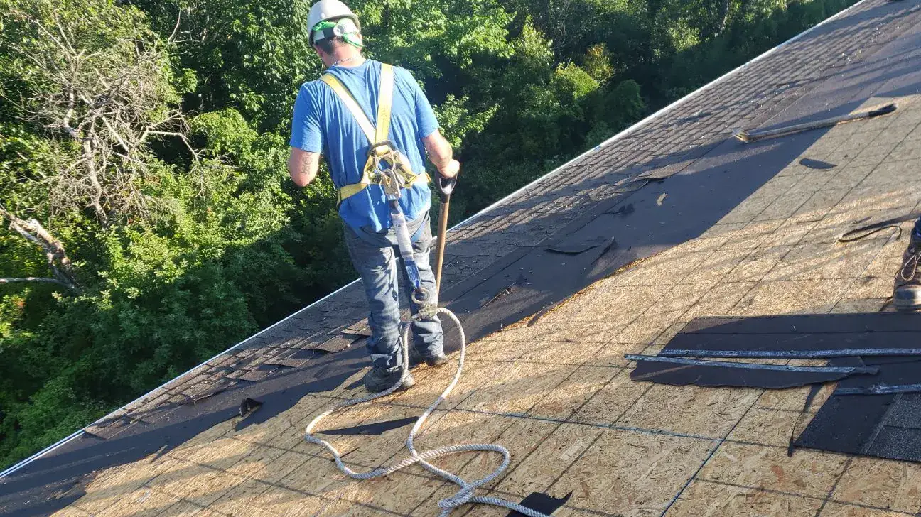 A roofer on a steep tear-off in Fredericton, full harness and lifeline clearly clipped and trailing down the roof